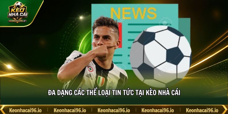 Đa dạng các thể loại tin tức tại kèo nhà cái Đa dạng các thể loại tin tức tại kèo nhà cái