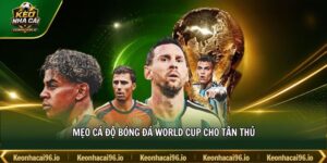 Mẹo cá độ bóng đá World Cup cho tân thủ