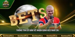Thông tin cơ bản về nhận định kèo nhà cái