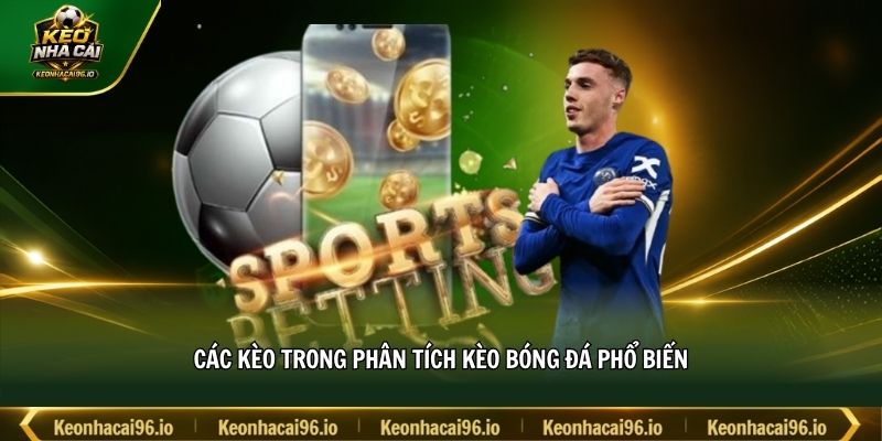 Các kèo trong phân tích kèo bóng đá phổ biến