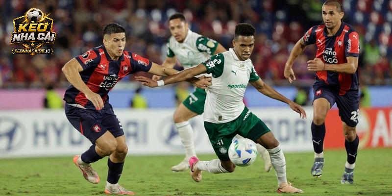 Nhận định Palmeiras vs Cerro Porteno Nhận định Palmeiras vs Cerro Porteno